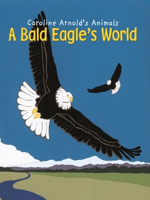 cover image of A Bald Eagle's World